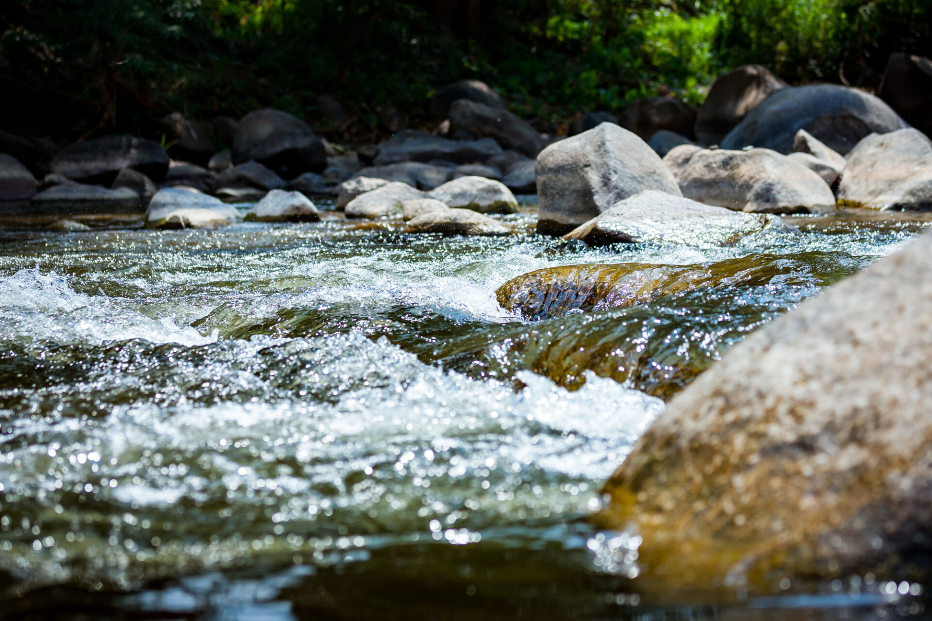 AdobeStock_143384054-web