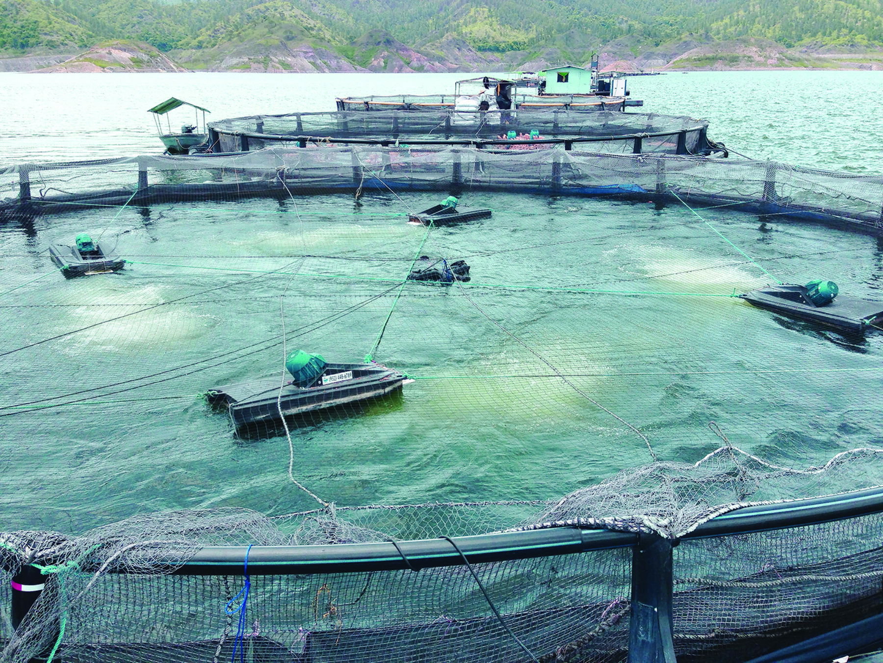 Four Newterra surface aerators agitate an aquaculture bay for fish production