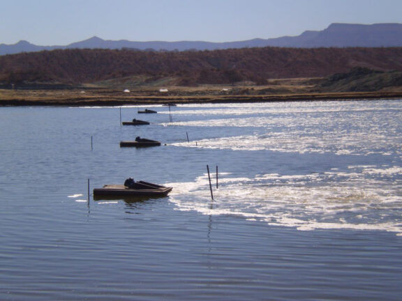 Aquaculture aeration solutions are deployed in a pond consisting of five amphibious aeration vehicles drawing lines across the pond from right to left creating a wake from their path.