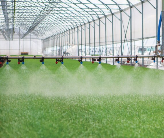 Innovative Indoor Agriculture Facility in Santa Maria