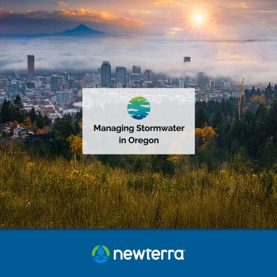 Cover image: city skyline above fog at sunrise with a translucent panel reading 'Managing Stormwater in Oregon' and logos, plus a blue Newterra banner at the bottom.
